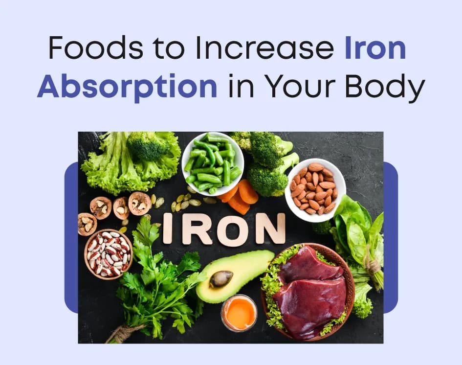 Foods to Increase Iron Absorption in Your Body