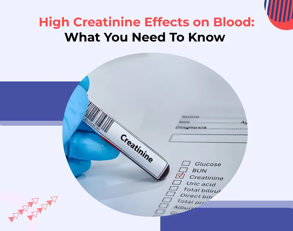 High Creatinine Effects on Blood: What You Need To Know
