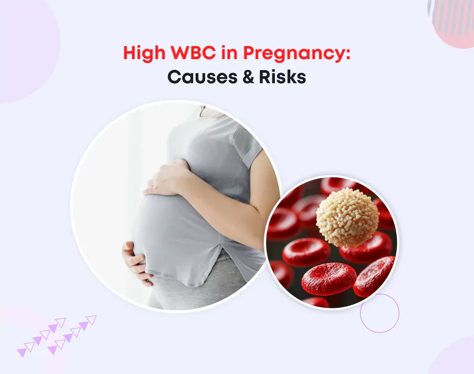 High WBC in Pregnancy: Causes & Risks